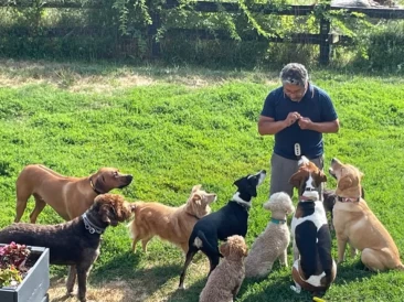 Image of Dog Meadow at Millbrook service in Millbrook, New York, United States
