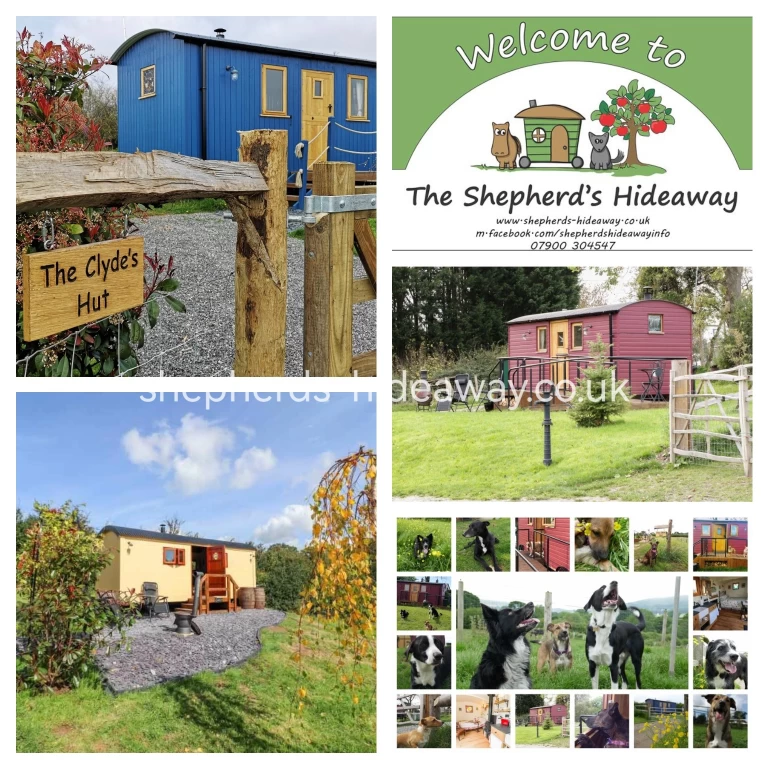 Image of The Shepherds Hideaway service in Waen, Wales, United Kingdom Image of The Shepherds Hideaway service in Waen, Wales, United Kingdom
