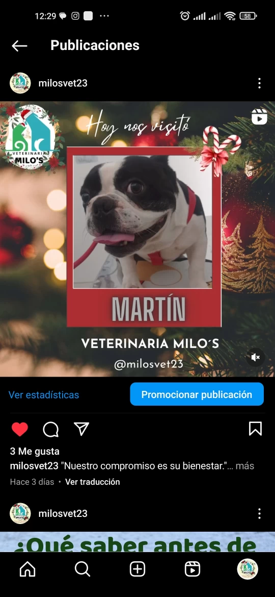 Image of Veterinaria Milo's-Puyo service in Puyo, Pastaza, Ecuador