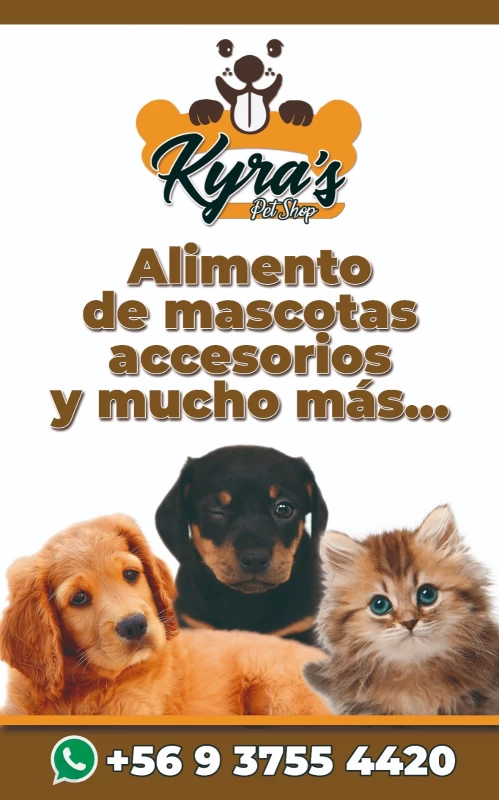Image of Kyra’s Petshop service in Chillán, Del Bio-Bio, Chile