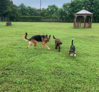 Image of Circle Lake Ranch Pet Resort service in Katy, Texas, United States Image of Circle Lake Ranch Pet Resort service in Katy, Texas, United States
