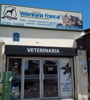 Image of Veterinaria Francal service in Curico, Maule, Chile