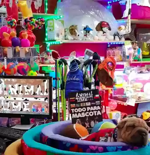 Image of Animal Time service in Santiago, Metropolitana, Chile