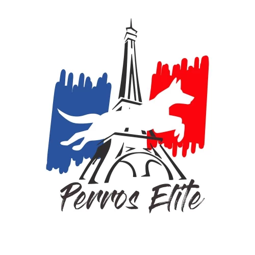Image of Perros Elite Adiestramiento Canino service in Queretaro, Queretaro, Mexico