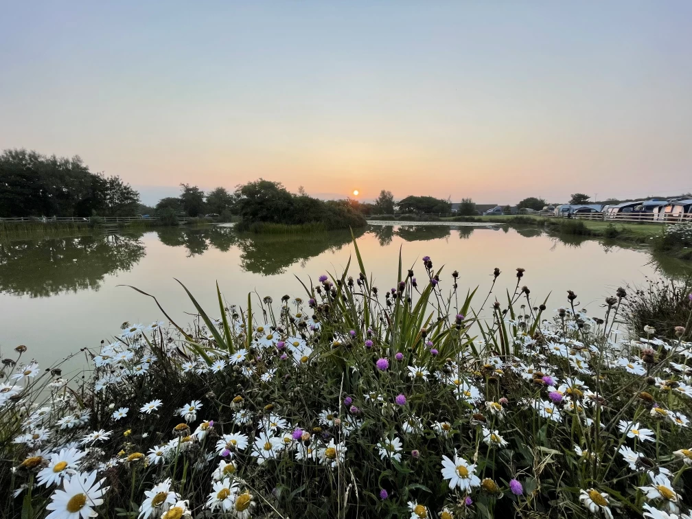 Image of Warcombe Farm Camping Park service in North Devon, England, United Kingdom Image of Warcombe Farm Camping Park service in North Devon, England, United Kingdom