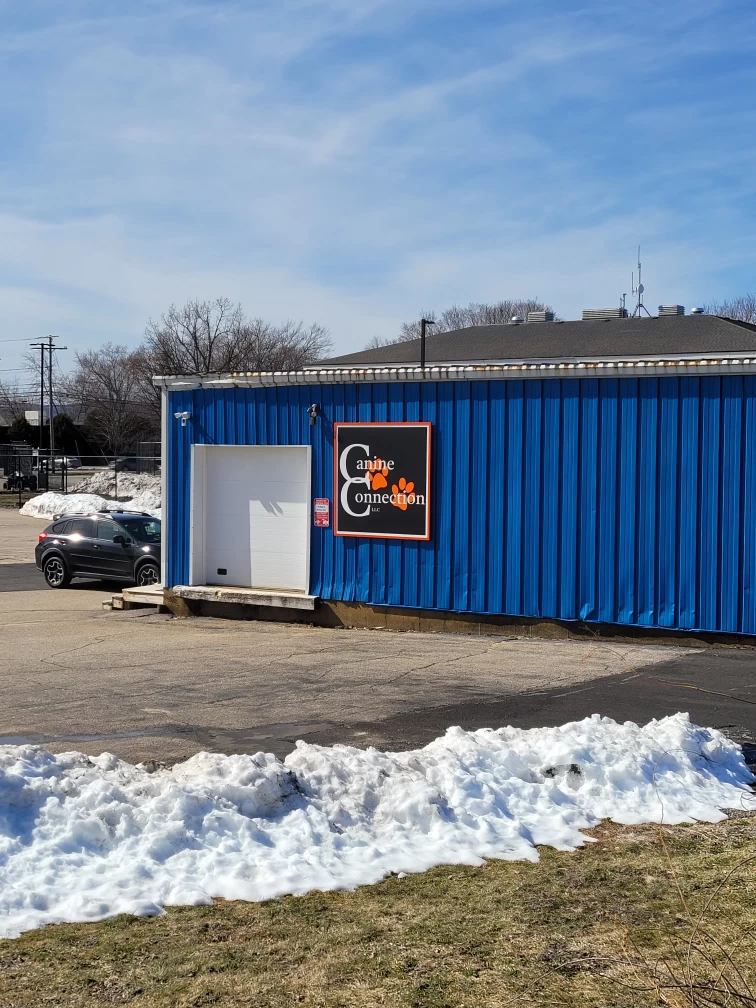 Image of Canine Connection LLC - Laconia service in Laconia, New Hampshire, United States Image of Canine Connection LLC - Laconia service in Laconia, New Hampshire, United States