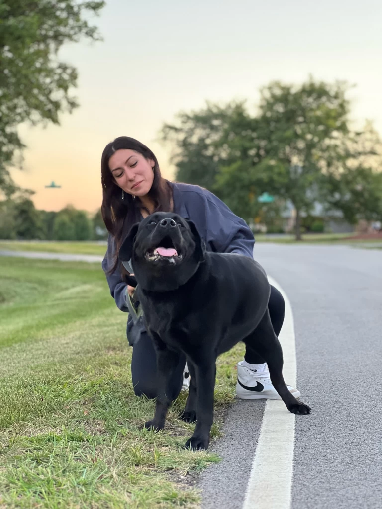 Image of Arroyo Pet LLC service in Palatine, Illinois, United States Image of Arroyo Pet LLC service in Palatine, Illinois, United States