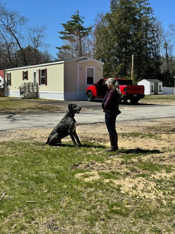 Image of Pawsitive Pet service in Barrington, Illinois, United States Image of Pawsitive Pet service in Barrington, Illinois, United States
