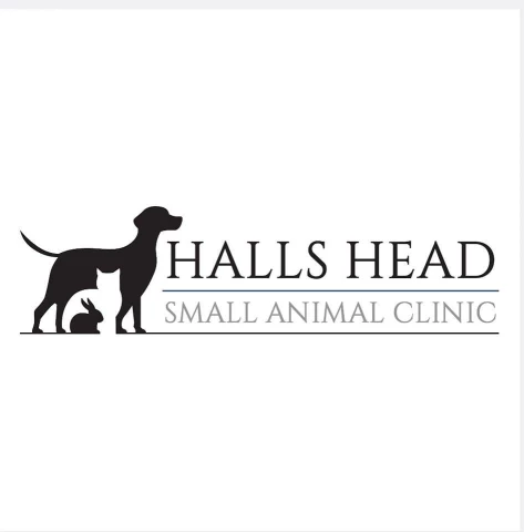 Image of Halls Head Small Animal Clinic service in Halls Head, Western Australia, Australia