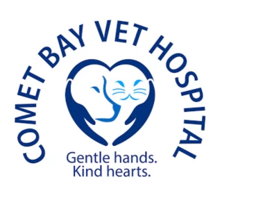Image of Comet Bay Vet Hospital service in City of Rockingham, Western Australia, Australia Image of Comet Bay Vet Hospital service in City of Rockingham, Western Australia, Australia