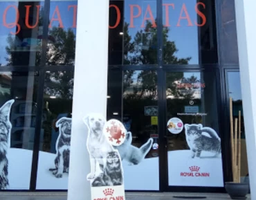 Image of Quatro Patas - Covilhã service in Covilha, Centro, Portugal