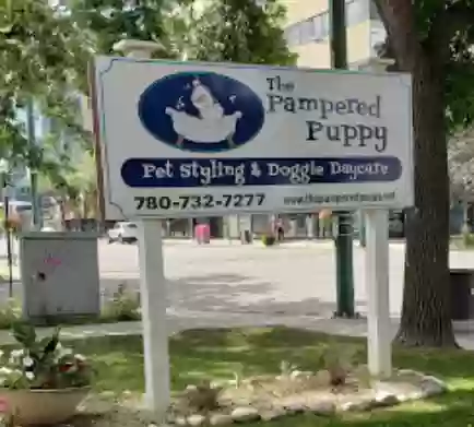 Image of The Pampered Puppy - Downtown service in Edmonton, Alberta, Canada Image of The Pampered Puppy - Downtown service in Edmonton, Alberta, Canada