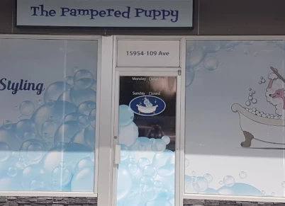 Image of The Pampered Puppy - Mayfield service in Edmonton, Alberta, Canada Image of The Pampered Puppy - Mayfield service in Edmonton, Alberta, Canada