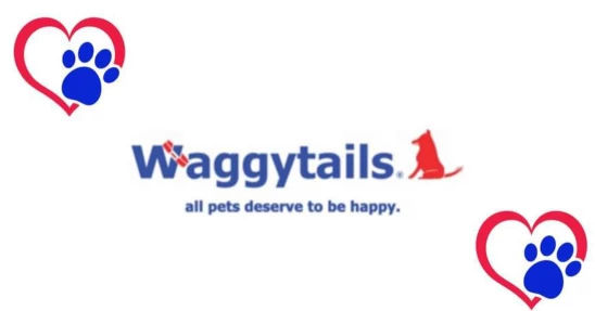 Image of Waggytails service in Edmonton, Alberta, Canada