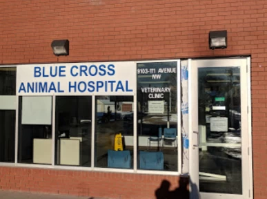 Image of Blue Cross Animal Hospital service in Edmonton, Alberta, Canada