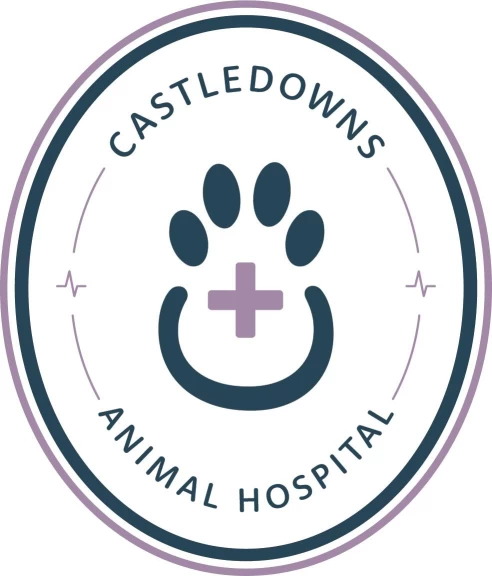 Image of Castledowns Animal Hospital service in Edmonton, Alberta, Canada
