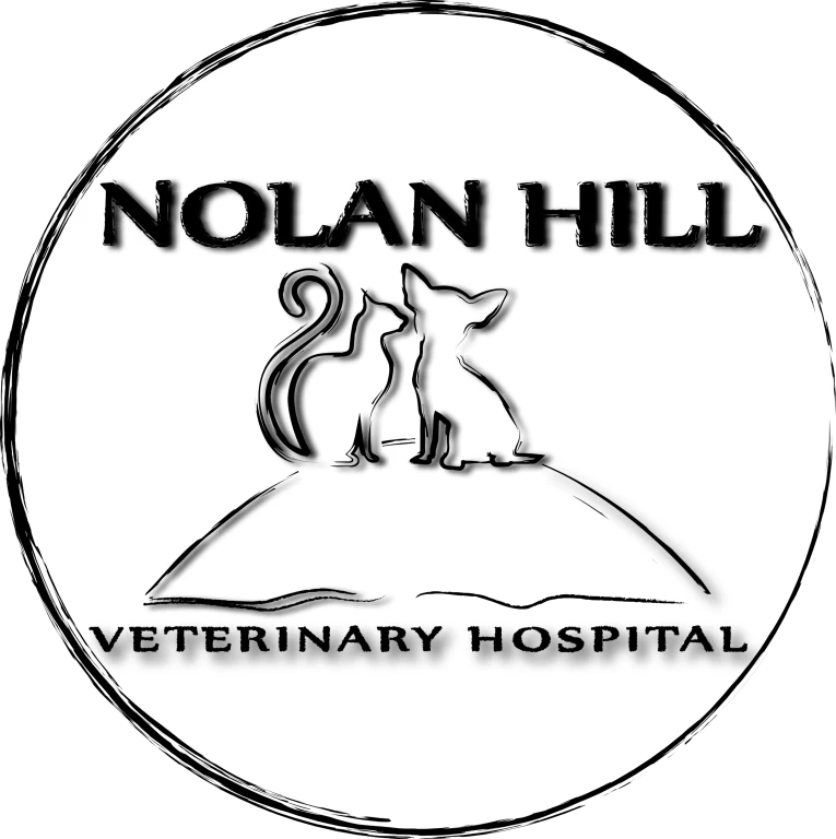 Image of Nolan Hill Veterinary Hospital service in Calgary, Alberta, Canada