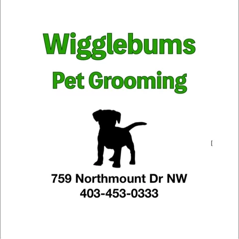Image of Wigglebums Pet Grooming service in Calgary, Alberta, Canada Image of Wigglebums Pet Grooming service in Calgary, Alberta, Canada