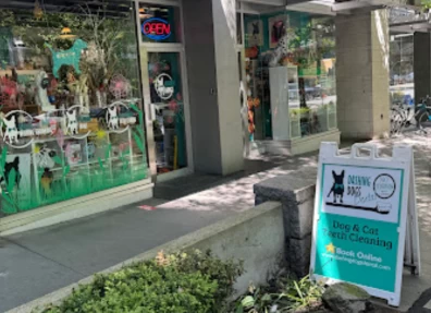 Image of Dashing Dawgs Grooming & Boutique service in Vancouver, British Columbia, Canada