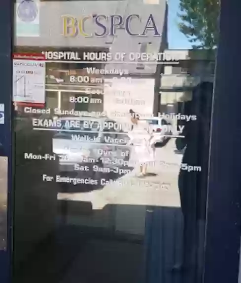 Image of BC SPCA Vancouver Animal Hospital service in Vancouver, British Columbia, Canada