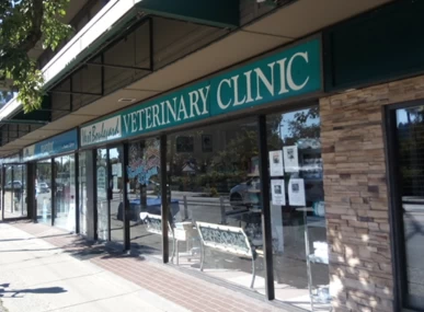 Image of West Boulevard Veterinary Clinic service in Vancouver, British Columbia, Canada