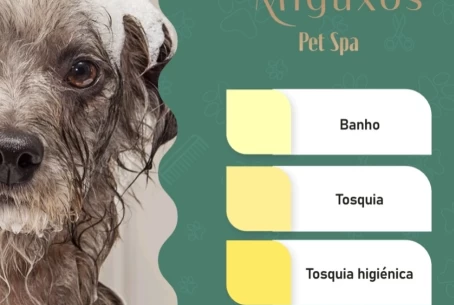 Image of Miguxos Pet Spa service in Braga, Norte, Portugal Image of Miguxos Pet Spa service in Braga, Norte, Portugal