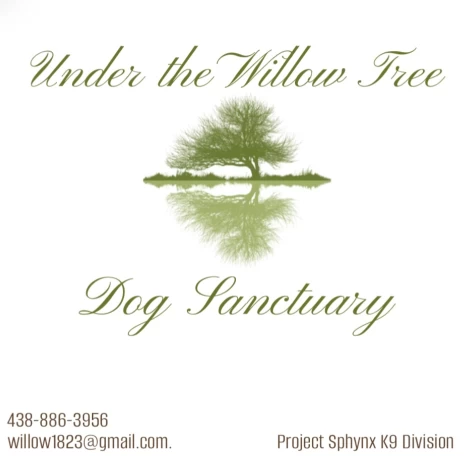 Image of Under The Willow Tree Dog Sanctuary service in Rouyn-Noranda, Quebec, Canada
