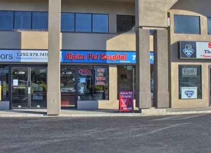 Image of Alpine Pet Hospital Kelowna service in Kelowna, British Columbia, Canada Image of Alpine Pet Hospital Kelowna service in Kelowna, British Columbia, Canada