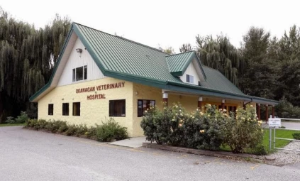 Image of Okanagan Veterinary Hospital service in Kelowna, British Columbia, Canada Image of Okanagan Veterinary Hospital service in Kelowna, British Columbia, Canada