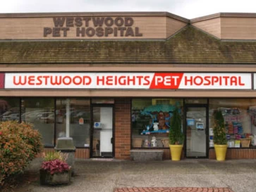 Image of Westwood Heights Pet Hospital service in Coquitlam, British Columbia, Canada Image of Westwood Heights Pet Hospital service in Coquitlam, British Columbia, Canada