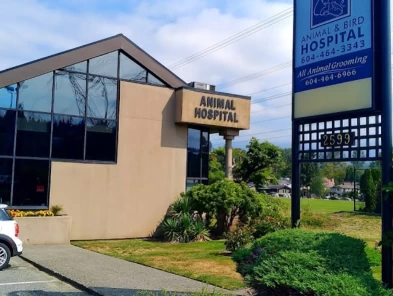 Image of Eagle Ridge Animal & Bird Hospital service in Coquitlam, British Columbia, Canada Image of Eagle Ridge Animal & Bird Hospital service in Coquitlam, British Columbia, Canada