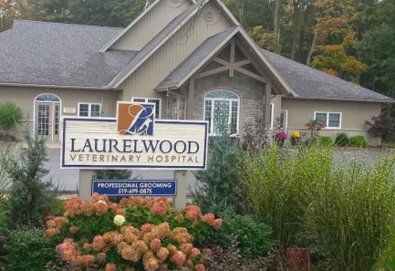 Image of Laurelwood Veterinary Hospital service in Woolwich, Ontario, Canada
