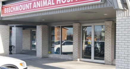 Image of Beechmount Animal Hospital service in Waterloo, Ontario, Canada Image of Beechmount Animal Hospital service in Waterloo, Ontario, Canada