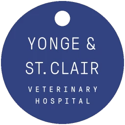 Image of Yonge & St. Clair Veterinary Hospital service in Old Toronto, Ontario, Canada