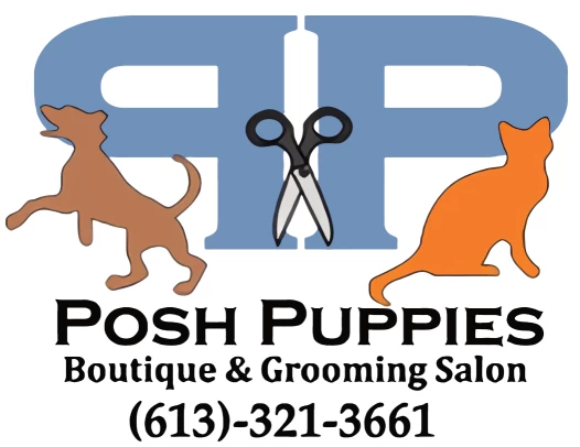Image of Posh Puppies service in Ottawa, Ontario, Canada Image of Posh Puppies service in Ottawa, Ontario, Canada