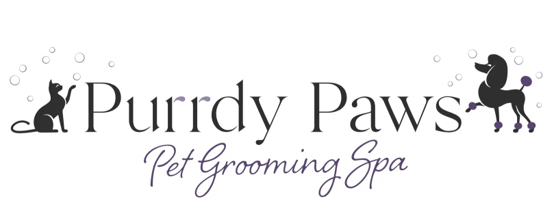 Image of Purrdy Paws Pet Grooming Spa - Bank St. service in Ottawa, Ontario, Canada Image of Purrdy Paws Pet Grooming Spa - Bank St. service in Ottawa, Ontario, Canada