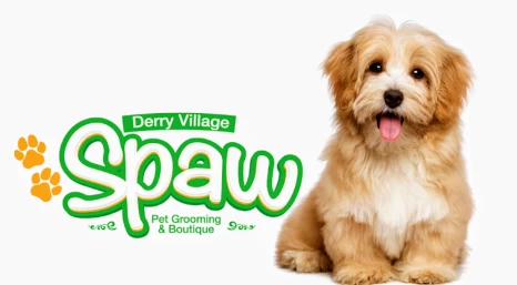Image of Derry Village Spaw service in Mississauga, Ontario, Canada
