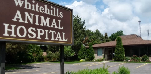 Image of Whitehills Animal Hospital service in London, Ontario, Canada Image of Whitehills Animal Hospital service in London, Ontario, Canada