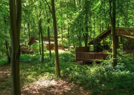 Image of Forest Holidays Blackwood Forest service in Winchester, England, United Kingdom