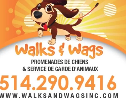 Image of Walks & Wags - Montreal service in Montreal, Quebec, Canada Image of Walks & Wags - Montreal service in Montreal, Quebec, Canada