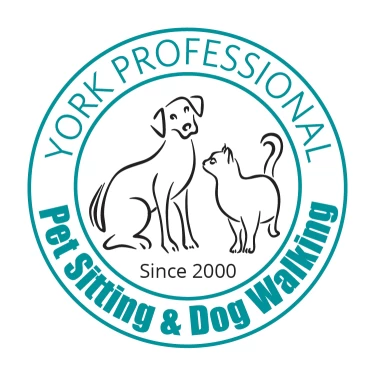 Image of York Professional Pet Sitting and Dog Walking service in Newmarket, Ontario, Canada Image of York Professional Pet Sitting and Dog Walking service in Newmarket, Ontario, Canada
