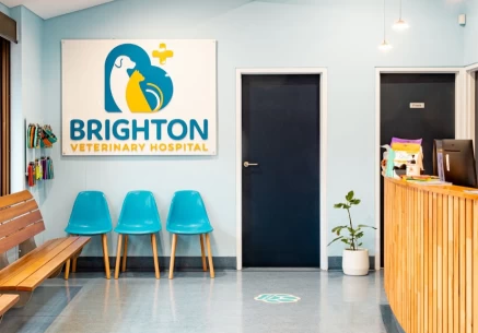 Image of Brighton Veterinary Hospital service in Brighton, South Australia, Australia