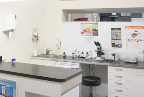 Image of Altivet service in Forest - Vorst, Brussels-Capital, Belgium