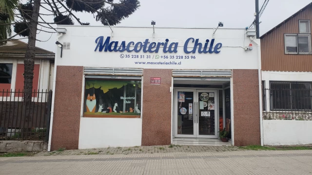 Image of Mascoteria Chile1 service in San Antonio, Valparaiso, Chile Image of Mascoteria Chile1 service in San Antonio, Valparaiso, Chile