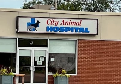 Image of City Animal Hospital service in Fredericton, New Brunswick, Canada Image of City Animal Hospital service in Fredericton, New Brunswick, Canada