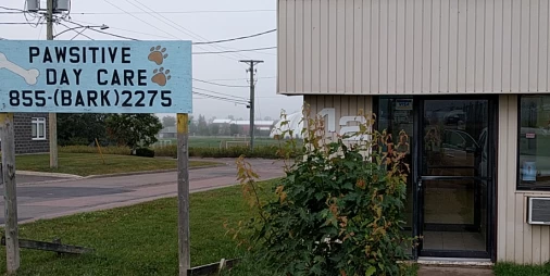 Image of Pawsitive Daycare service in Moncton, New Brunswick, Canada Image of Pawsitive Daycare service in Moncton, New Brunswick, Canada