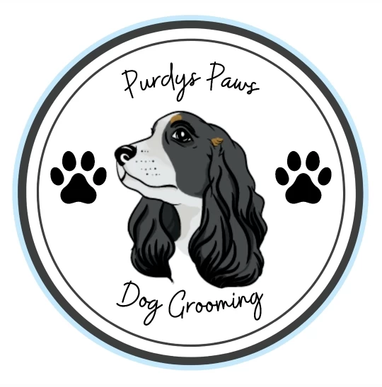 Image of Purdys paws dog grooming service in Blackpool, England, United Kingdom Image of Purdys paws dog grooming service in Blackpool, England, United Kingdom