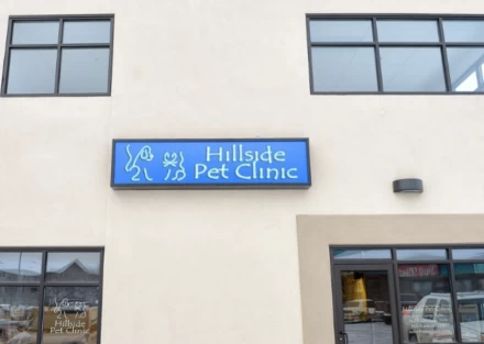 Image of Hillside Pet Clinic service in Anchorage, Alaska, United States Image of Hillside Pet Clinic service in Anchorage, Alaska, United States