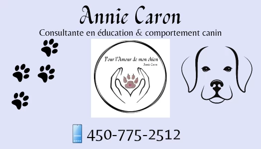 Image of Pour l'Amour de mon chien service in Granby, Quebec, Canada Image of Pour l'Amour de mon chien service in Granby, Quebec, Canada