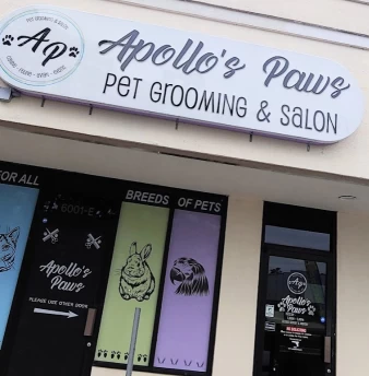 Image of Apollo's Paws service in Mobile, Alabama, United States